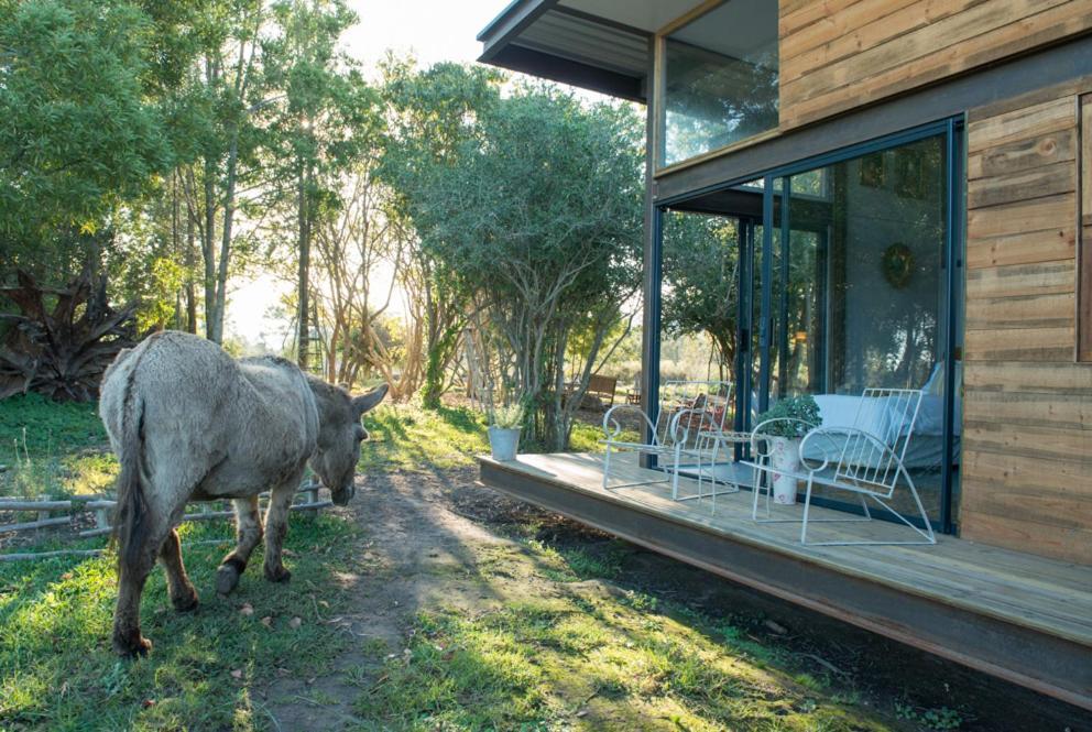 Eco Lodge Villa Villekula The Crags ภายนอก รูปภาพ