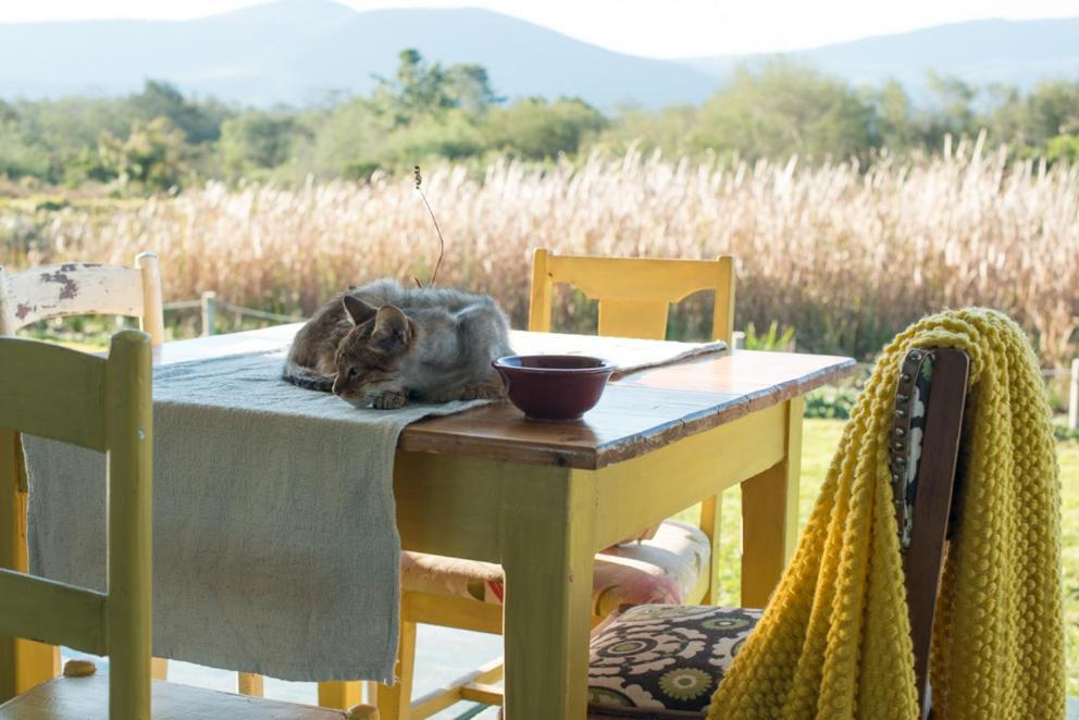 Eco Lodge Villa Villekula The Crags ภายนอก รูปภาพ
